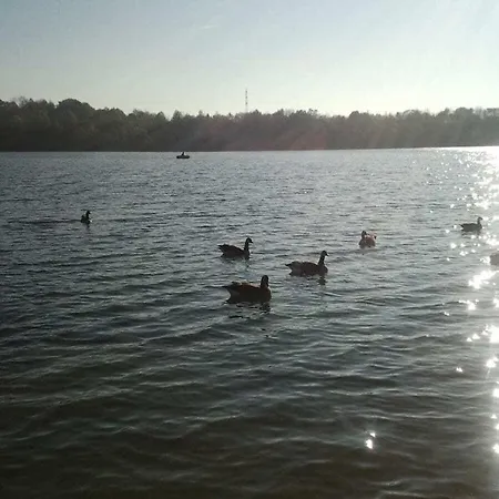 Kaufmann Comfortable Tatil Evi *