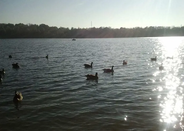 Kaufmann Comfortable Casa vacanze *